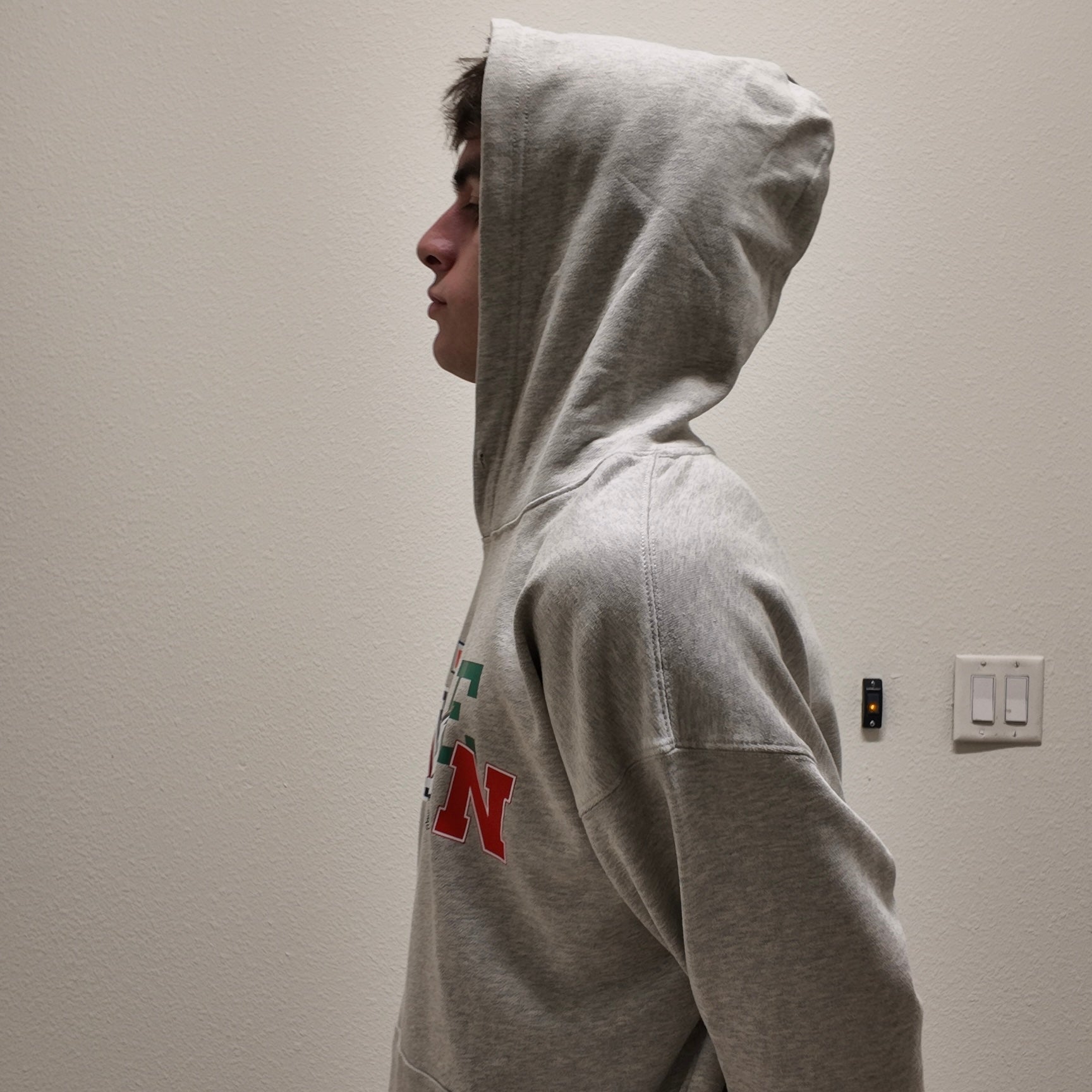 College Logo Hoodie